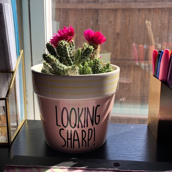 Meet Your Posher, Kristen! - Picture 6 of 6